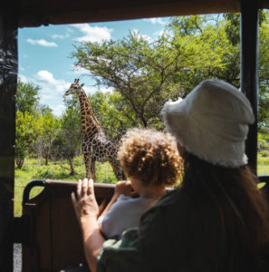 safari mkuze afrique du sud