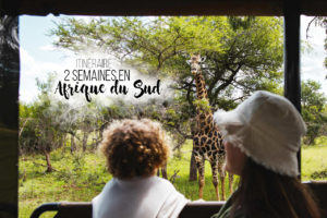itinéraire 2 semaines afrique du sud en famille
