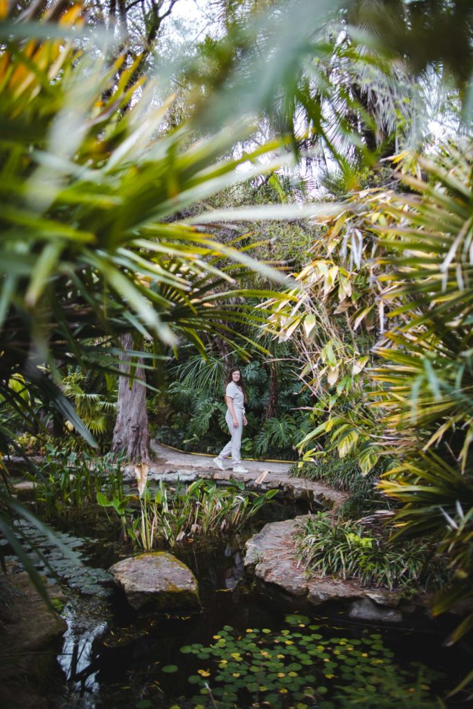 jardin de marimurtra costa brava