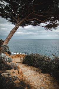 jardin de marimurtra costa brava