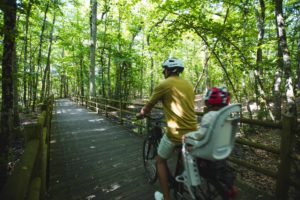 balade velo foret d'orient