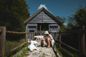 espace faune foret d'orient