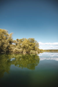 bateau foret immergée aube