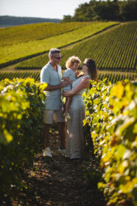 vignes champagne aube
