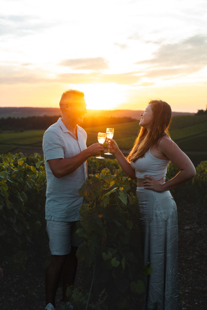 vignes champagne aube