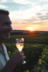 vignes champagne aube