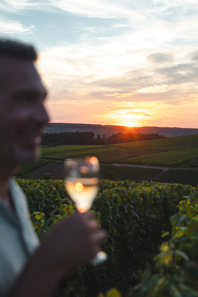 vignes champagne aube