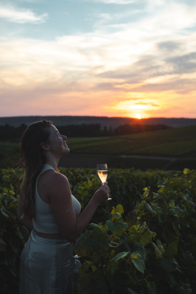 vignes champagne aube