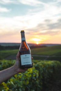 vignes champagne aube