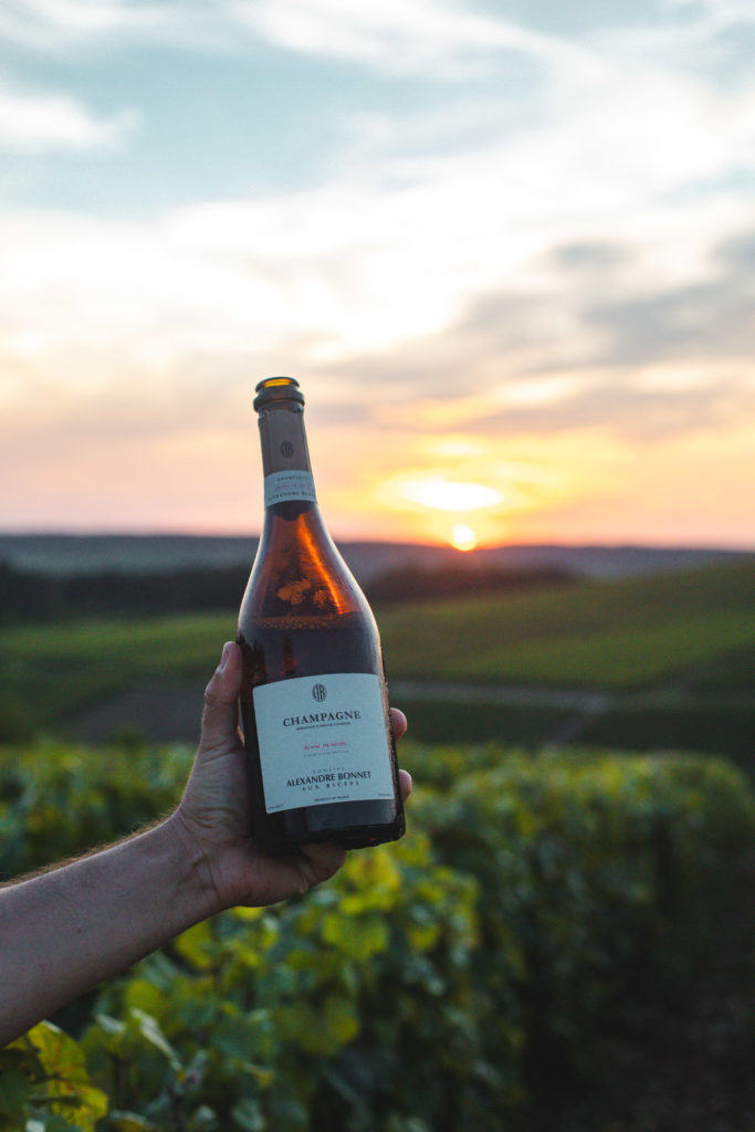 vignes champagne aube