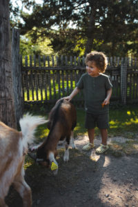 parc animalier sainte croix sarrebourg