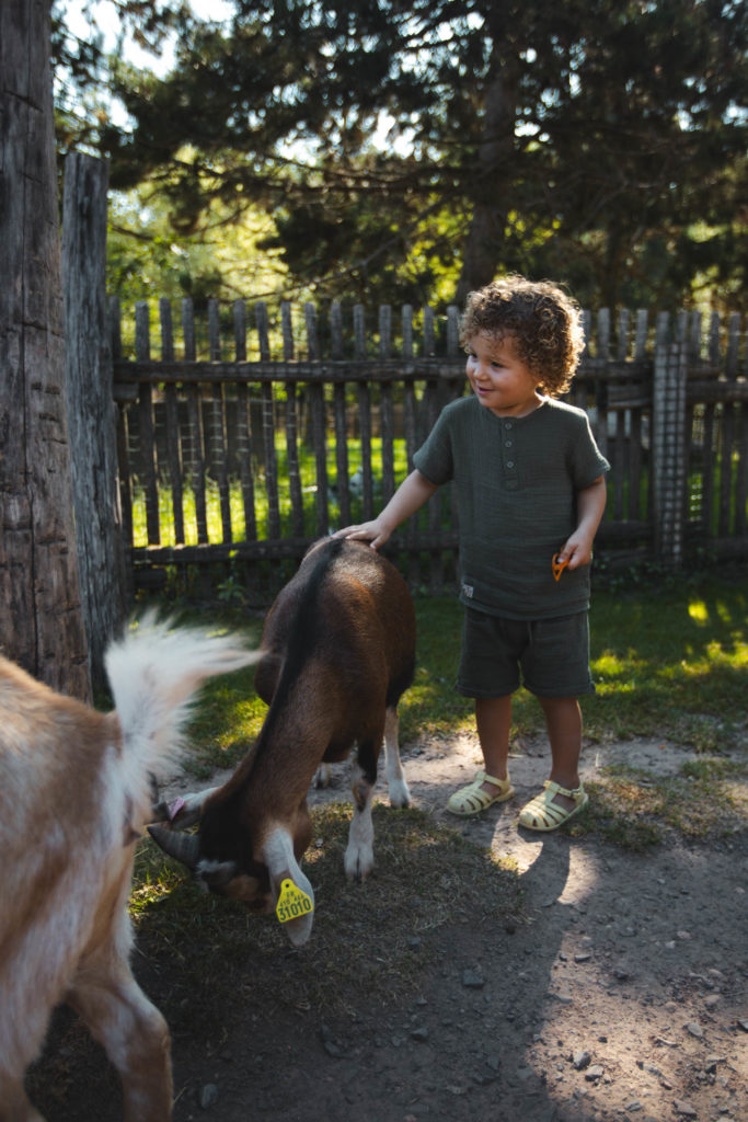 parc animalier sainte croix sarrebourg