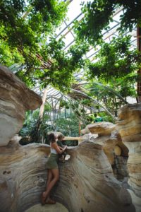center parcs les 3 forets sarrebourg