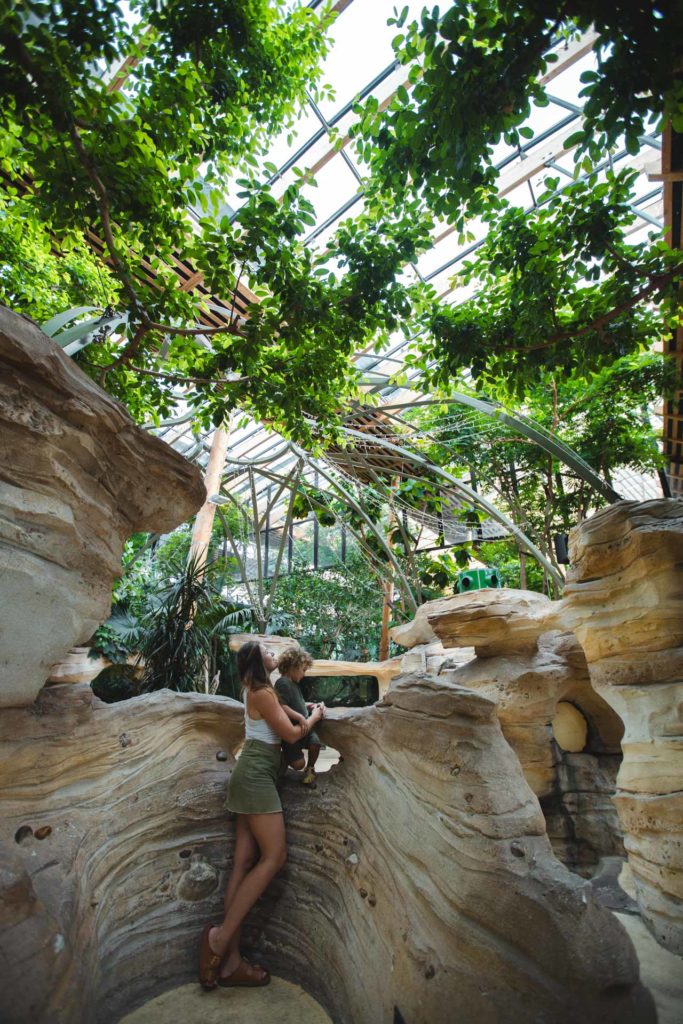 center parcs les 3 forets sarrebourg