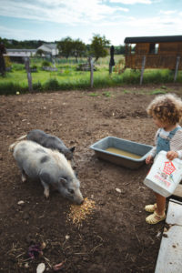 la contrée des minis petite ferme sarrebourg