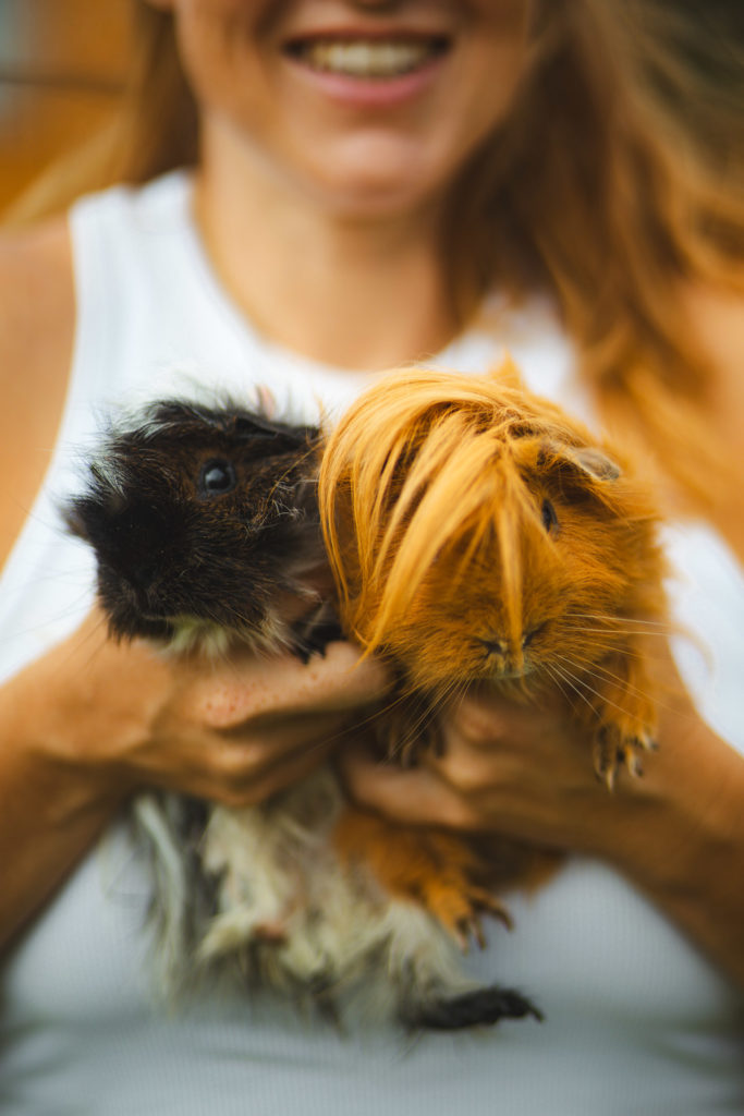 la contrée des minis petite ferme sarrebourg