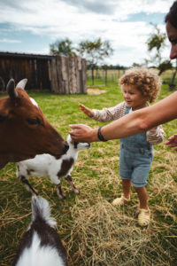 la contrée des minis petite ferme sarrebourg
