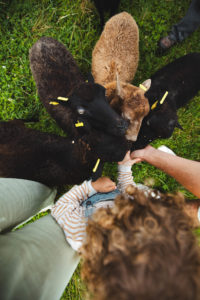 la contrée des minis petite ferme sarrebourg