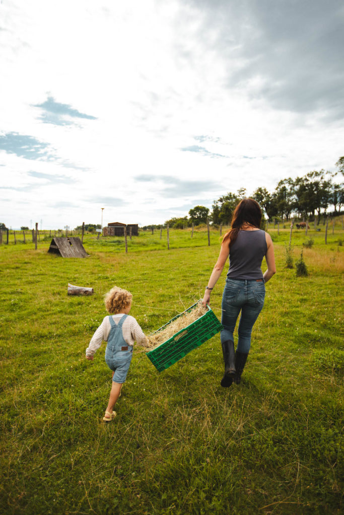 la contrée des minis petite ferme sarrebourg