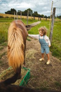 la contrée des minis petite ferme sarrebourg