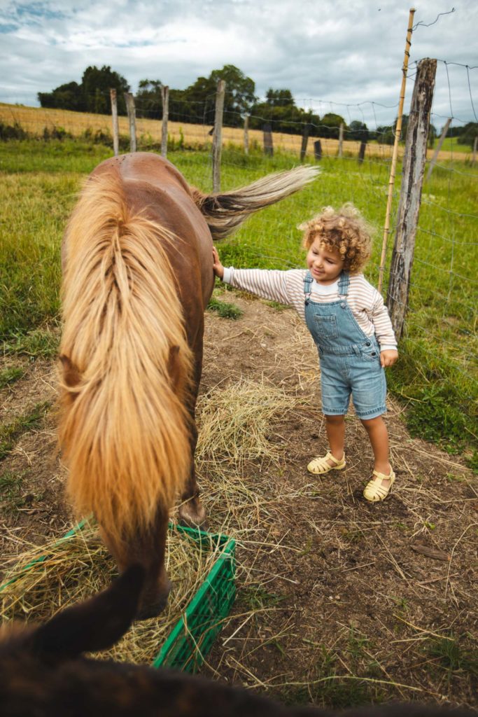 la contrée des minis petite ferme sarrebourg