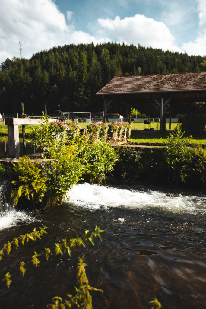 relais du moulin sarrebourg