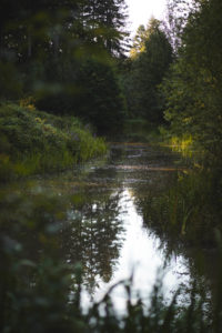 center parcs les 3 forets sarrebourg