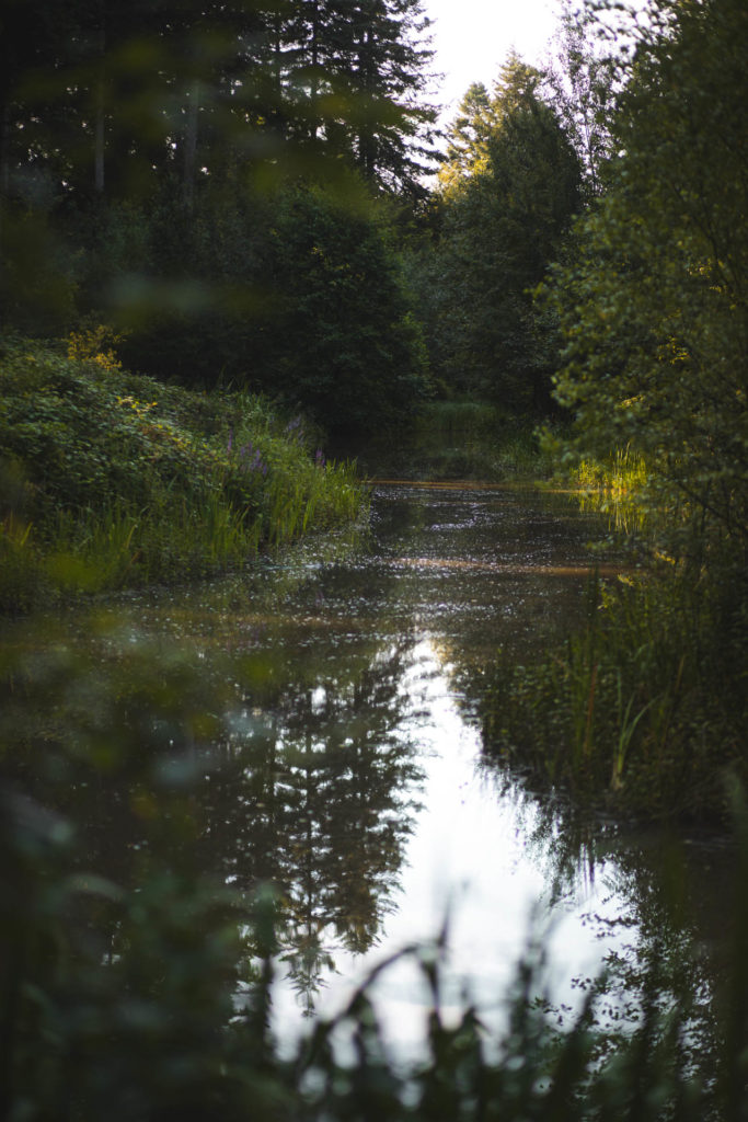center parcs les 3 forets sarrebourg