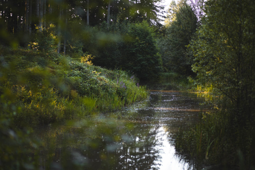 center parcs les 3 forets sarrebourg