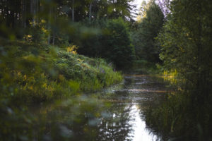 center parcs les 3 forets sarrebourg