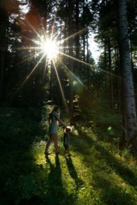 center parcs les 3 forets sarrebourg