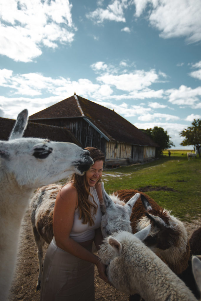 voyage en france en famille Aube
