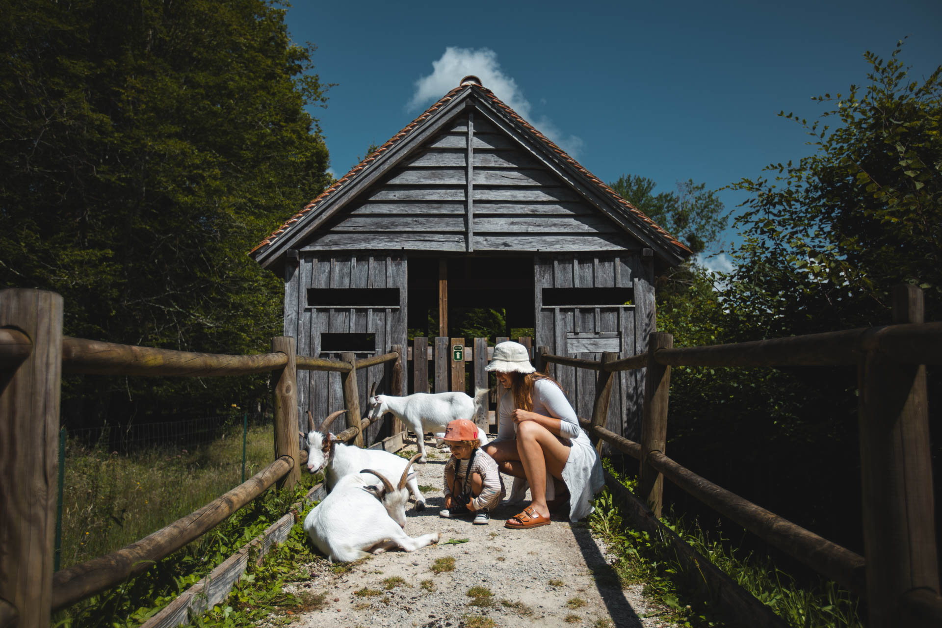 voyage en france en famille Aube