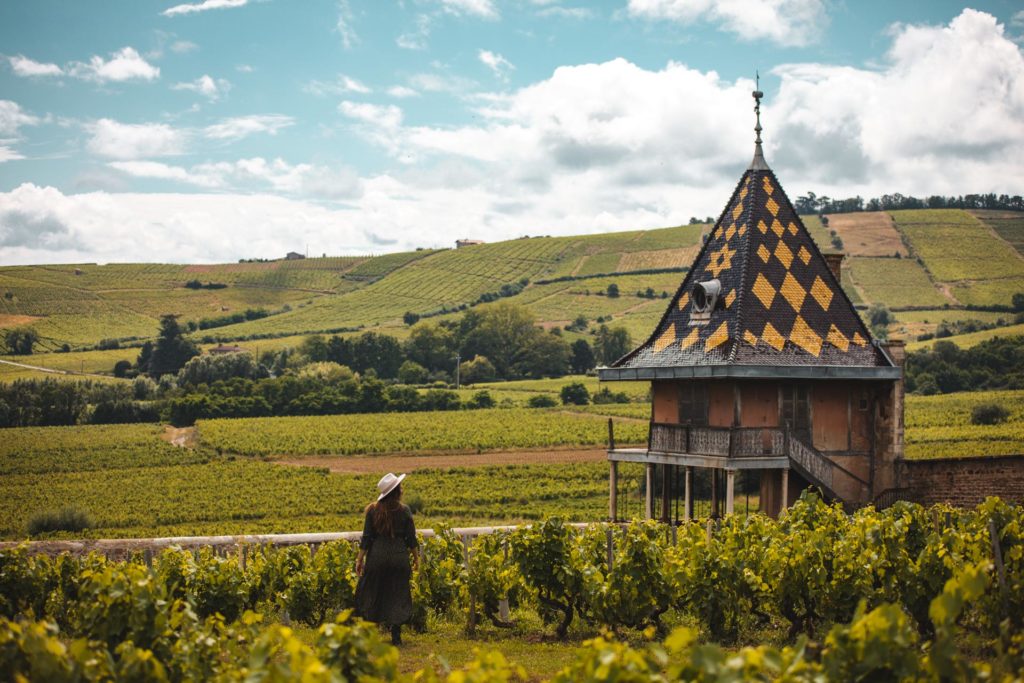 que faire autour de lyon beaujolais