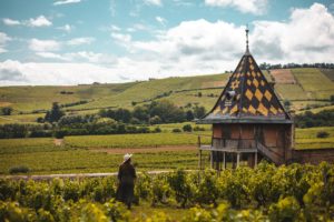 que faire autour de lyon beaujolais