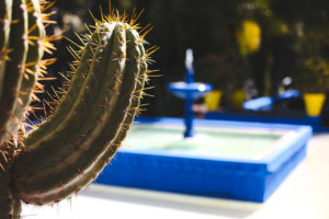 jardin majorelle marrakech