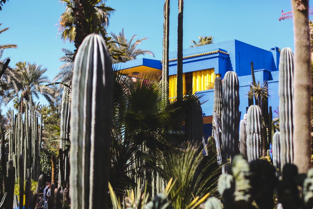 jardin majorelle marrakech