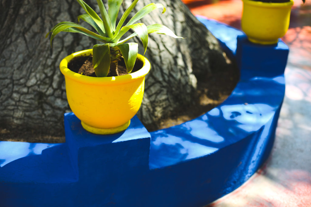 jardin majorelle marrakech