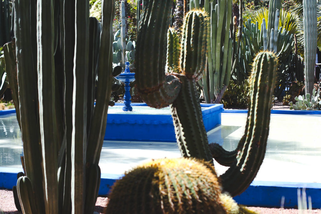 jardin majorelle marrakech