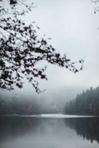 Biogradska Gora montenegro
