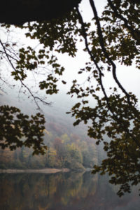 Biogradska Gora montenegro