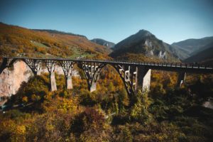 Durdevica Tara Bridge