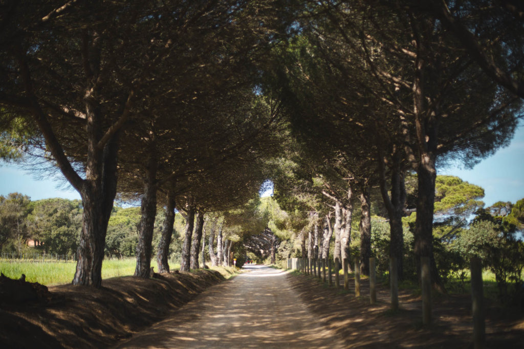 que faire presqu'île de Giens Porquerolles