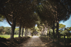 que faire presqu'île de Giens Porquerolles
