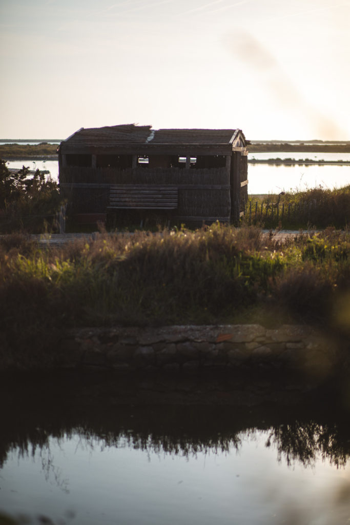 Que faire sur la presqu'ile de Giens
