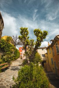 Bormes les Mimosas plus beaux villages du Var