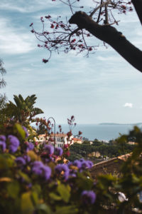 Bormes les Mimosas plus beaux villages du Var