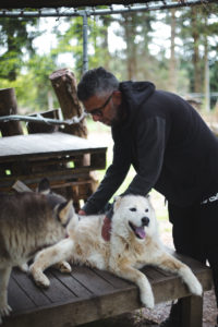 cani rando loire