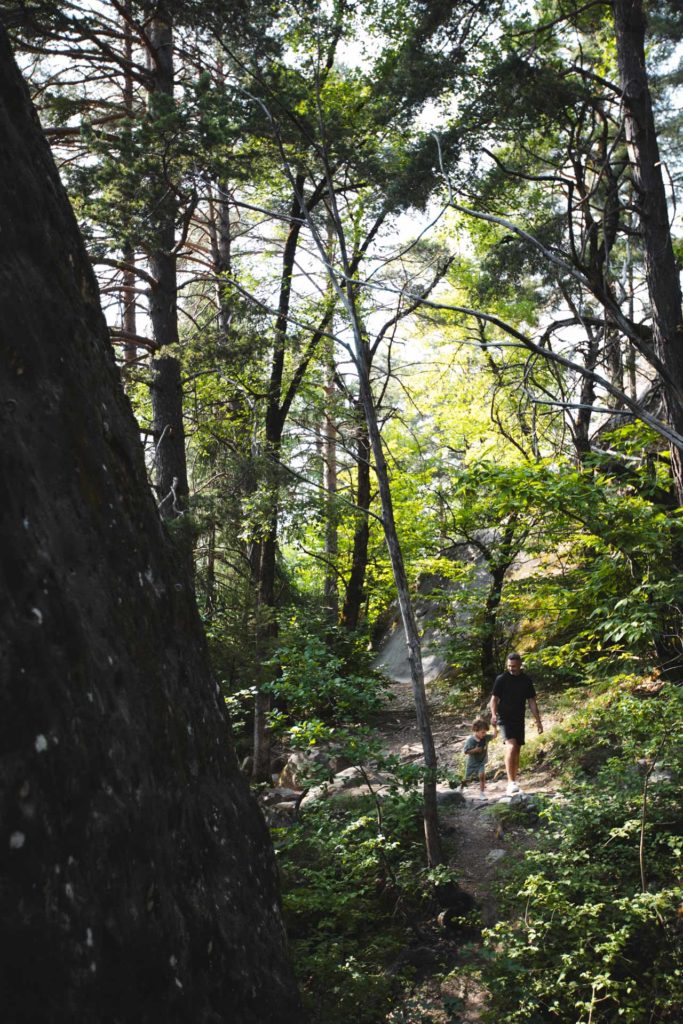 foret gres d'annot