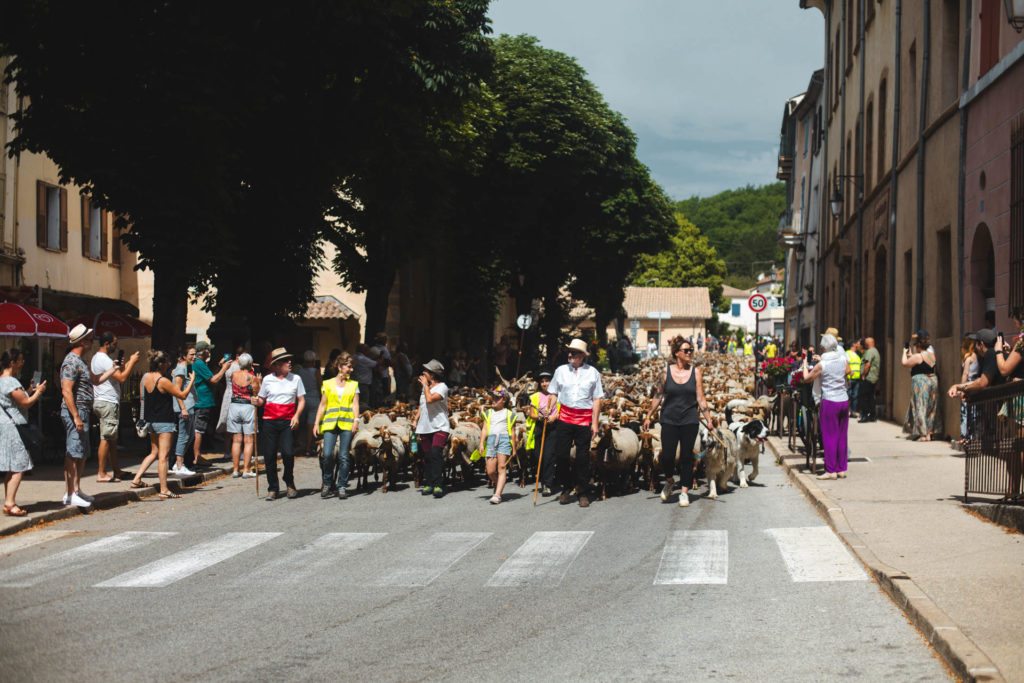 transhumance castellane